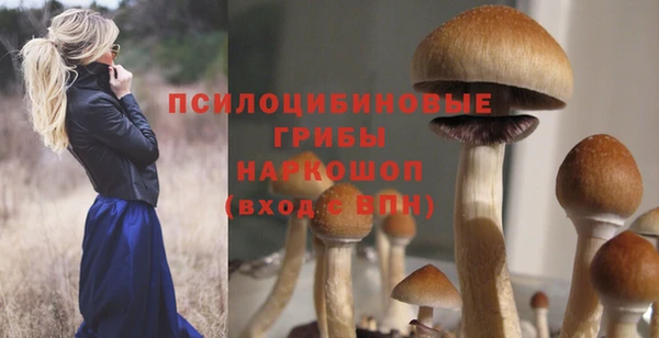 метадон Заволжье