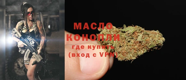 твердый Заводоуковск