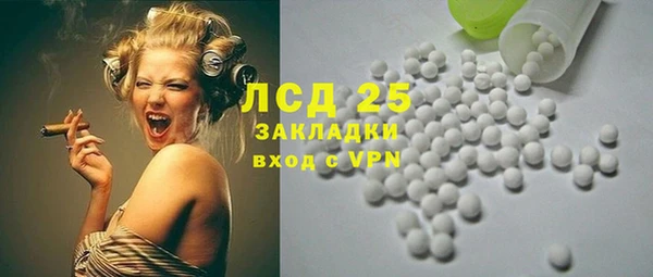 твердый Заводоуковск