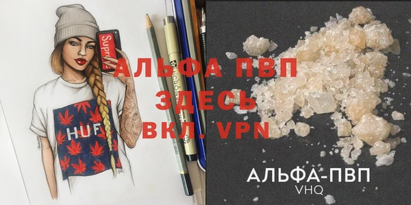 твердый Заводоуковск