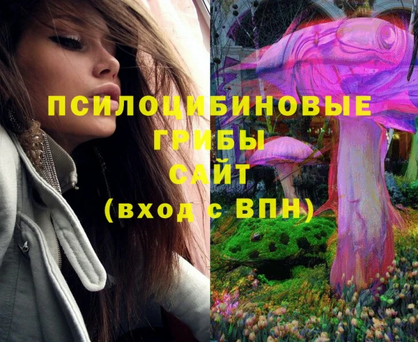 mix Ельня
