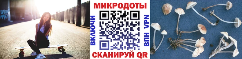 Галлюциногенные грибы прущие грибы  купить  сайты  мориарти как зайти  Каменск-Шахтинский 
